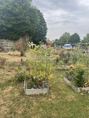 jardin participatif Loos-en-Gohelle